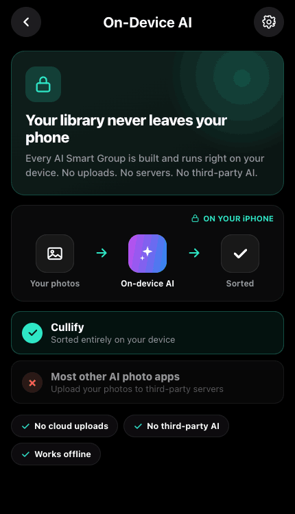 On-device privacy screen in Cullify